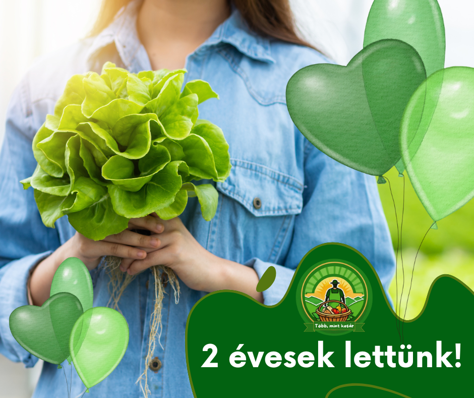 2 évesek lettünk
